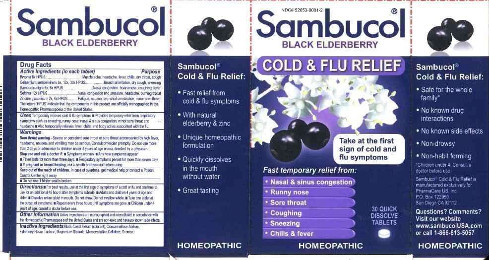 Sambucol Cold and Flu Relief